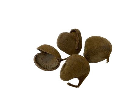 <h4>Buddha Nuts 4 Pcs</h4>