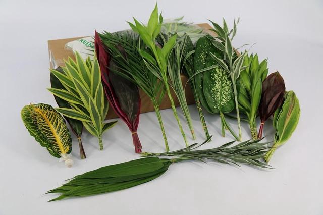 <h4>Tropical (air) Mix</h4>