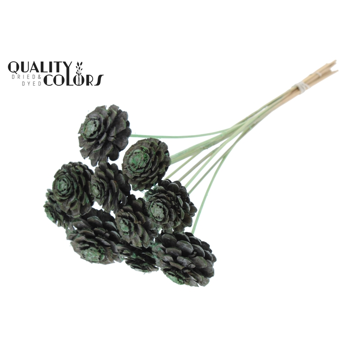 <h4>Pine cone cut 5-7cm on stem Frosted Mint Green</h4>