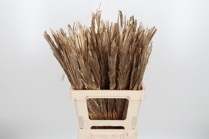 <h4>Droogbl Bew 17,5% St</h4>