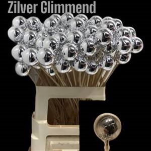 Kerstbal Op Stok Silver