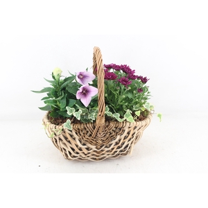 arr4 Outdoor PL - Hengselm. diana 285/4