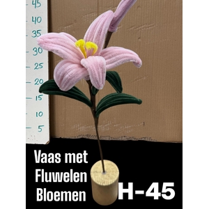 HUIS EN TUINDECO H%