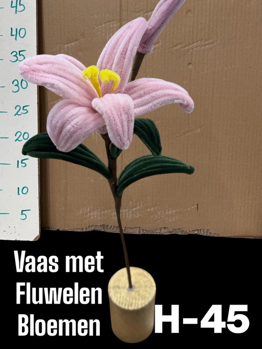 <h4>HUIS EN TUINDECO H%</h4>