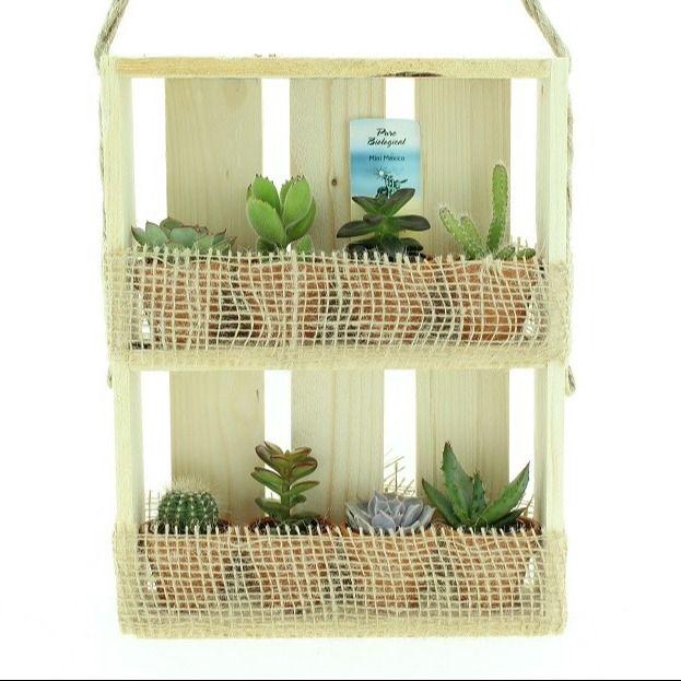 <h4>Bio Succulenten mini 224-HANGKIST</h4>