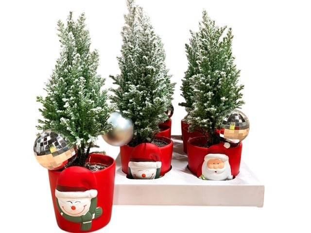 <h4>KERSTBOOM VERSIERD</h4>