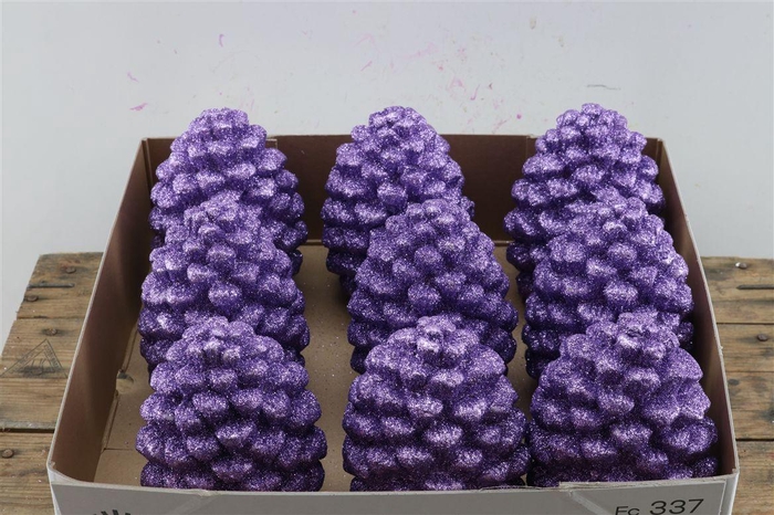 <h4>Pinecone Purple Big</h4>