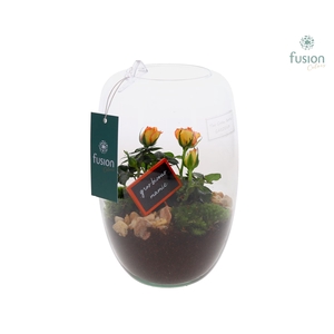 Green Bottle Isabella Small Grootmoederdag met Arrangement