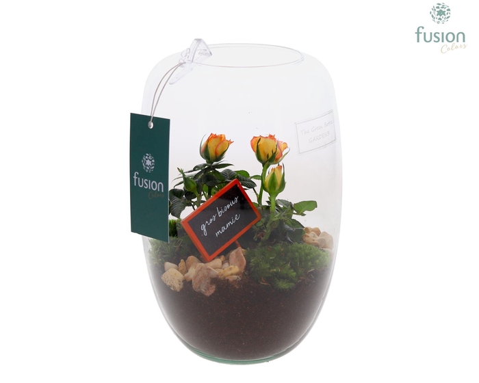<h4>Green Bottle Isabella Small Grootmoederdag met Arrangement</h4>