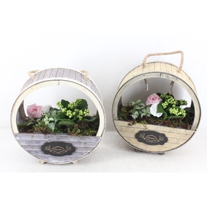 arr2 TD - Houten wiel - wit