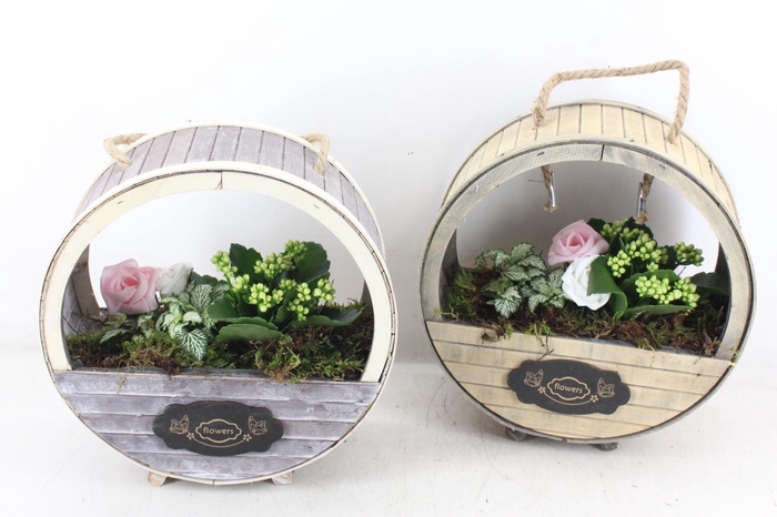 <h4>arr2 TD - Houten wiel - wit</h4>