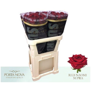 R Gr Red Naomi! Supra 80 997 #50