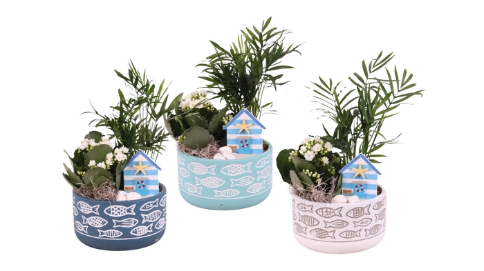 <h4>Opm Maritime Arr. Indoor Ceramic Pot Round Fish Mo</h4>