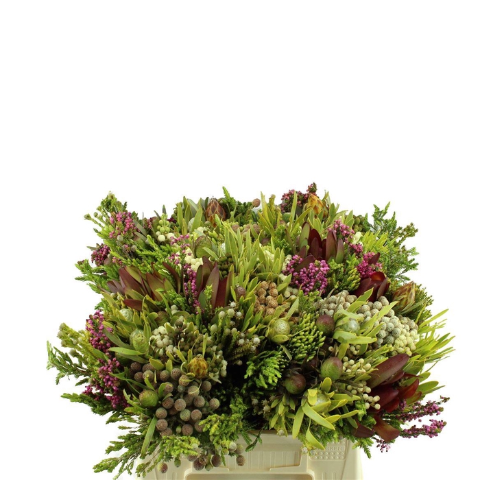 <h4>Kaaps Cone Mix</h4>