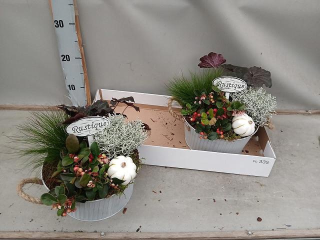 <h4>ARR TUINPLANTEN</h4>