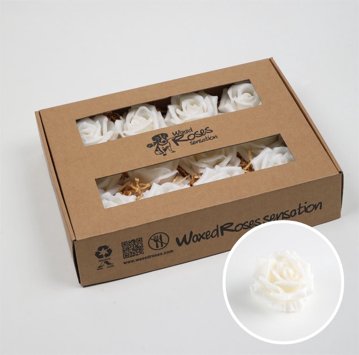 <h4>Zijde R Wx Wit</h4>