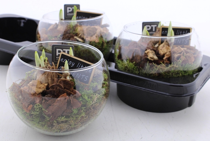 <h4>ARR N TETE A TETE</h4>