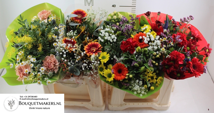 <h4>GEM BOEKET OV</h4>