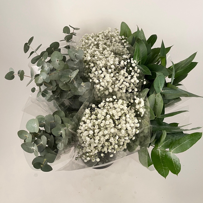 <h4>Bq Mono Eucalyptus - Gyps mix</h4>