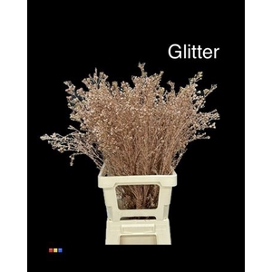 Waxflower Copper + Glit Bio