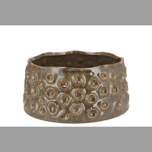 Alora Majestic Green Pot 20x20x10cm