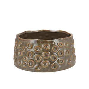 Alora Majestic Green Pot 20x20x10cm