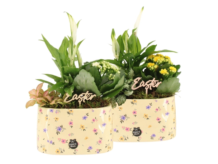 <h4>70883: Easter arrangement</h4>