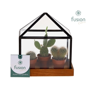 Glas Huisje met metaal Small met Cactussen