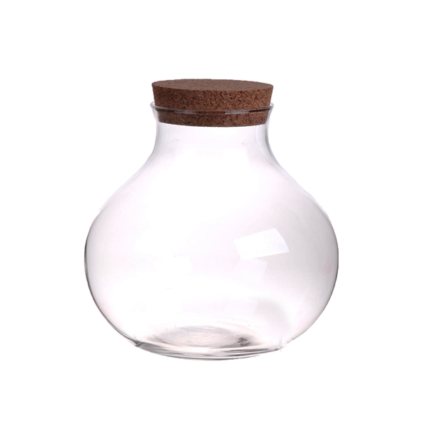 <h4>Terrarium Wendel d12.5\\26xh24 cl + cork</h4>