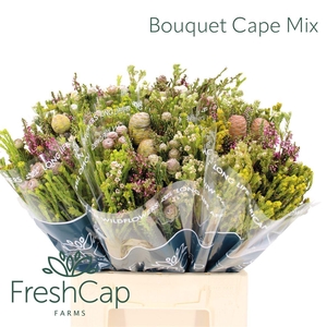 Bouquet Cape Mix