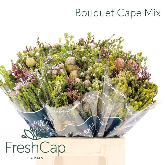 <h4>Bouquet Cape Mix</h4>