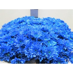 CHR T EURO BLAUW