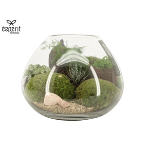90628: Landscape arrangement