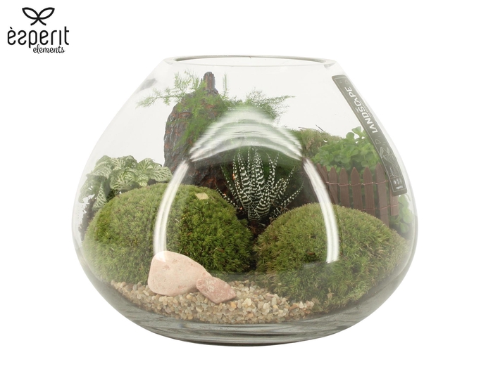 <h4>90628: Landscape arrangement</h4>