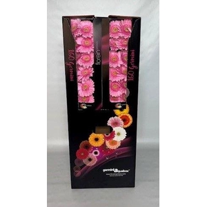 GE MI KIRSTEY Aquabox *160