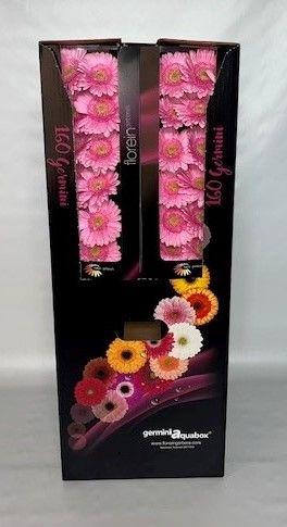 <h4>GE MI KIRSTEY Aquabox *160</h4>