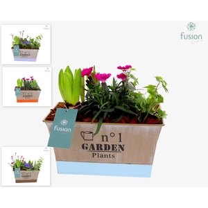 Pot zink rechthoekig met Arrangement