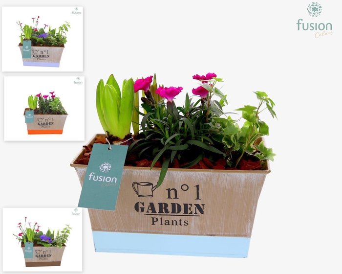 <h4>Pot zink rechthoekig met Arrangement</h4>