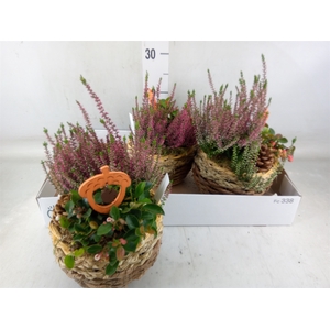 Arr.   Tuinplanten L%