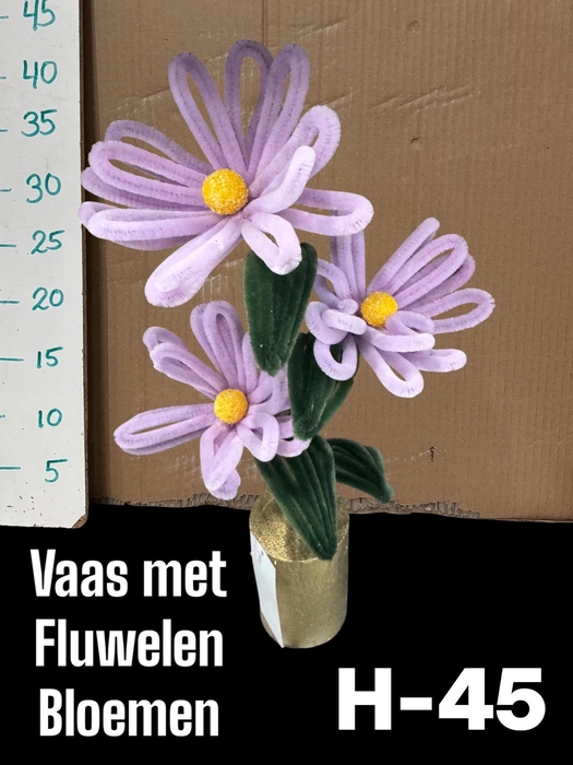 <h4>HUIS EN TUINDECO H%</h4>