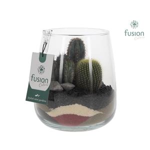 Glazen vaas Alzada met Cactus arrangement