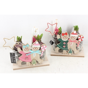 arr4 Hyacint FL - Gingerbread led