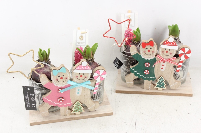 <h4>arr4 Hyacint FL - Gingerbread led</h4>