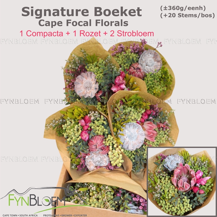 <h4>PROTEA PER BOS</h4>