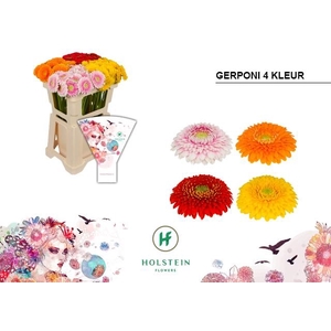 Germini Pomponi Mix 4 Kleur Water