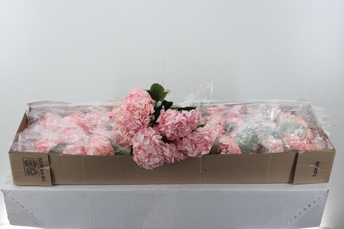 <h4>Hydr Light Pink Select Box x10</h4>