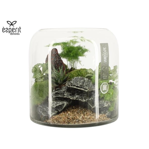 <h4>Arrangementen kamerplanten H%</h4>