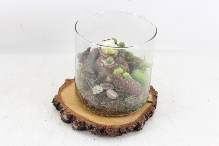 <h4>arr4 Amaryllis MB - Hout schijf glas cilin. 285/5</h4>