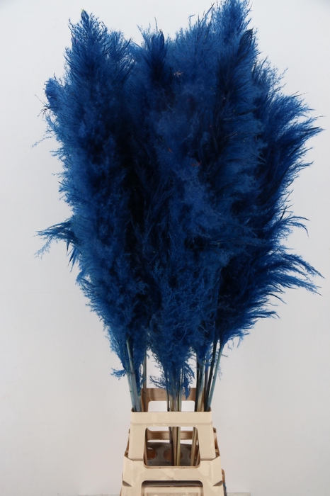 <h4>DROOGBL BEWERKT H%</h4>