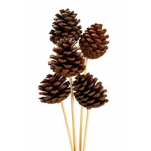 DECO PINECONE O/ST NATURAL X5 BUNCH